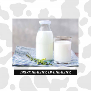 Fresh Milk Still Life Poster For Telegram