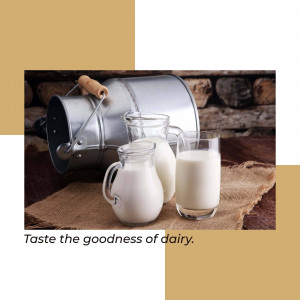 Fresh Dairy Milk Image For Twitter