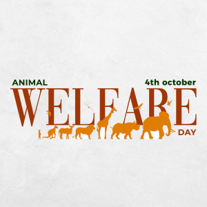 Animal Welfare Day - October 4th Business Poster For Twitter