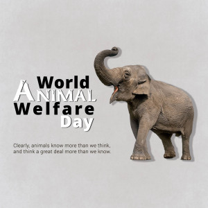 World Animal Welfare Day - Elephant Post For Threads