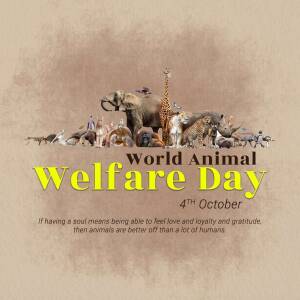 A collage of various animals celebrating World Animal Welfare Day