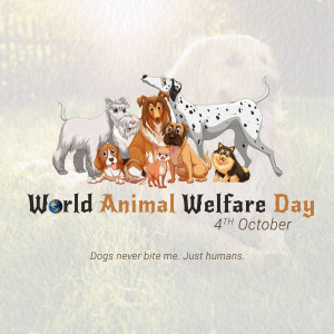 A group of diverse dog breeds gathered together with text celebrating World Animal Welfare Day.