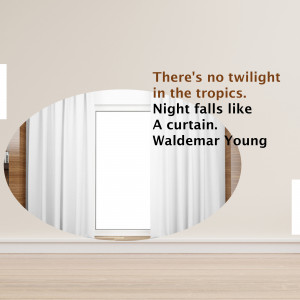 Image of a window with white curtains and a quote by Waldemar Young.