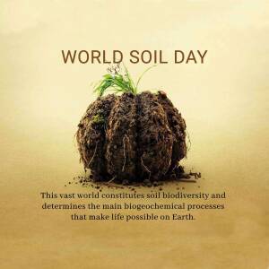 Image depicting soil with sprouting grass for World Soil Day