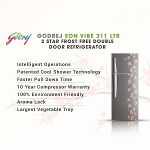 Godrej Eon Vibe 311 Ltr 2 Star Frost Free Double Door Refrigerator with floral design