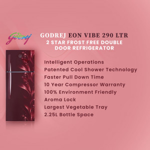 Godrej Eon Vibe 290 Ltr 2 Star Frost Free Double Door Refrigerator