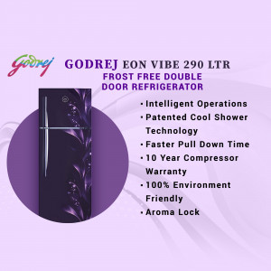 Godrej Eon Vibe 290 Ltr Refrigerator - Dark Purple Finish