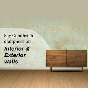 Dampness Solution For Walls Branding Post For LinkedIn
