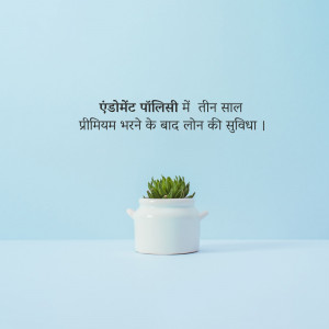 Financial Growth & Stability Graphic For X