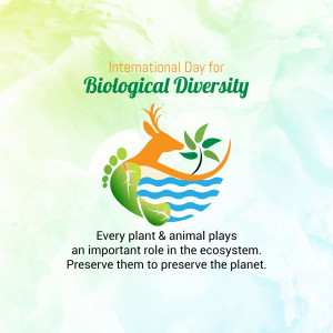 International Day For Biological Diversity Branding Post For Instagram