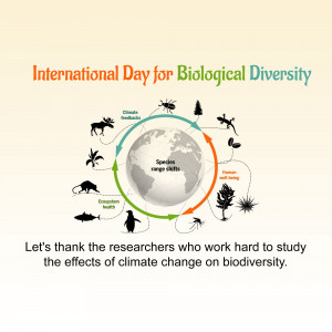 International Day For Biological Diversity Post For Instagram