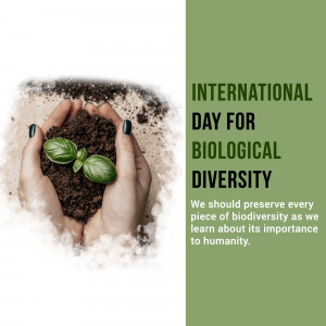International Day For Biological Diversity Business Poster For Instagram
