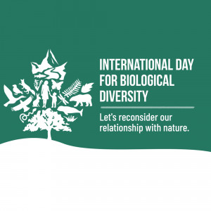 International Day For Biological Diversity Advertisement For Twitter