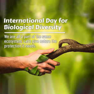 International Day For Biological Diversity Artwork For Telegram