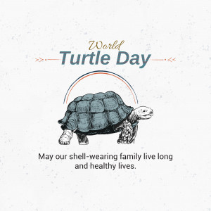 World Turtle Day Illustration Poster For Instagram