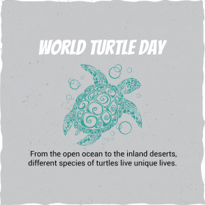World Turtle Day Illustration Advertisement For Twitter