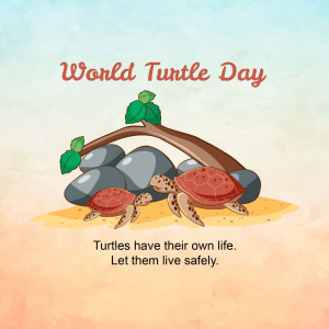 World Turtle Day Illustration Poster For Twitter