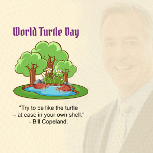 World Turtle Day Celebration Social Media Post For Threads