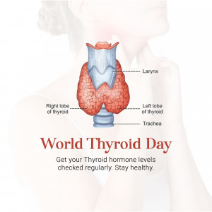 World Thyroid Day - Thyroid Anatomy Business Poster For Pinterest
