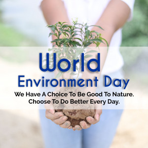 Hands holding a plant with 'World Environment Day' text overlay