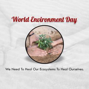 Hands planting a seedling in soil, representing World Environment Day.