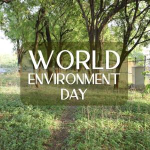 Image with text 'World Environment Day' overlaid on a green natural background.
