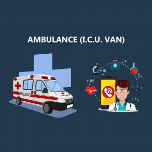 Illustration of an ambulance with medical icons and a doctor using a smartphone.