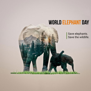 World Elephant Day - Conservation Awareness Advertisement For Google Business Profile