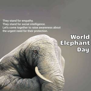 World Elephant Day Awareness Promotional Banner For Telegram