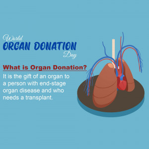 Infographic explaining organ donation with anatomical illustration