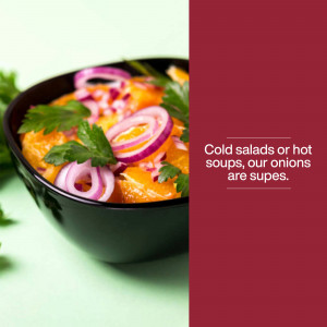 Close-up of a vibrant carrot salad with red onion and parsley in a black bowl.