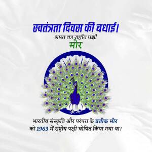 Image depicting the Indian national bird, a peacock, with Independence Day greetings in Hindi.