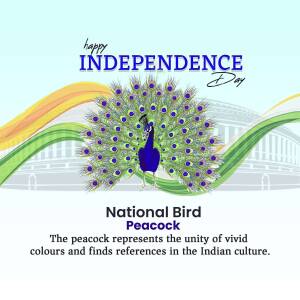 Happy Independence Day With Peacock Creative Design For LinkedIn