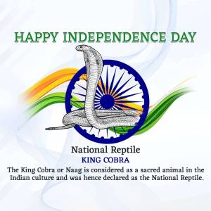 Happy Independence Day With King Cobra Design For Telegram