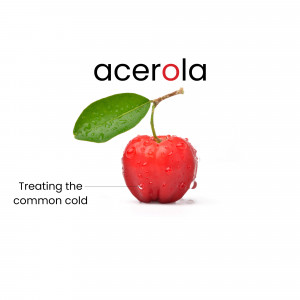 Close-up of a red acerola cherry with water droplets and the text 'acerola' and 'Treating the common cold'
