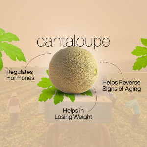 Cantaloupe Health Benefits Post For WhatsApp