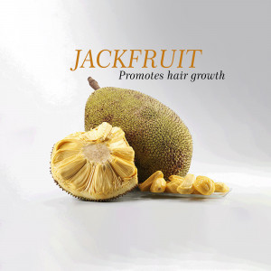 Jackfruit For Hair Growth Image For X