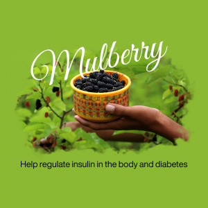 Hand holding a bowl of mulberries with text about insulin regulation