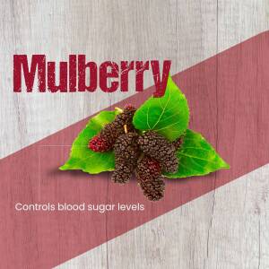 Close-up of fresh mulberries with green leaves on a wooden background