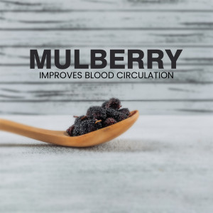Mulberry Benefits For Blood Circulation Design For Telegram