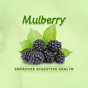 Mulberry Benefits For Digestive Health Marketing Image For Pinterest