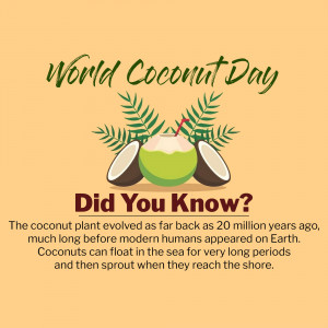 World Coconut Day - Did You Know? Promotional Banner For Threads