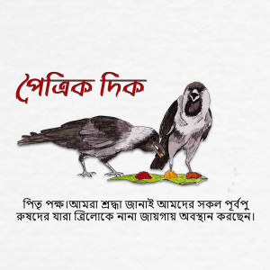 Illustration of two crows eating from a plate with Bengali text.