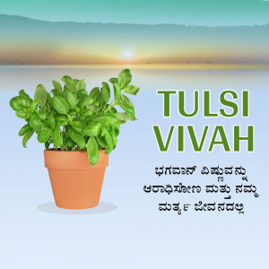 Tulsi plant in a pot with text 'Tulsi Vivah' and Kannada script
