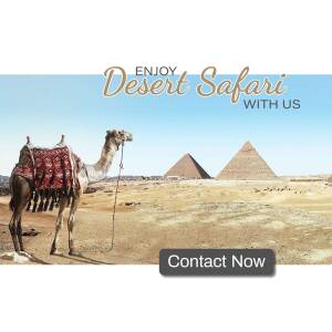 Desert Safari Adventure Poster For X