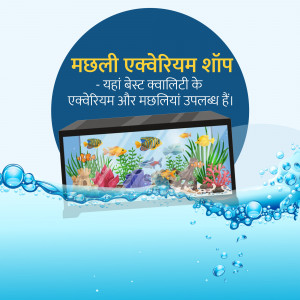 Advertisement for Machhli Aquarium Shop offering high-quality aquariums and fish.