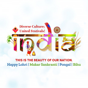 India: Diverse Culture, United Festivals Flyer For LinkedIn