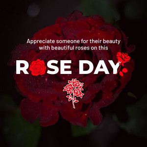 Rose Day Appreciation Graphic For Pinterest