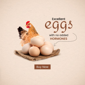 Excellent Eggs - Hormone-Free Creative Design For Pinterest