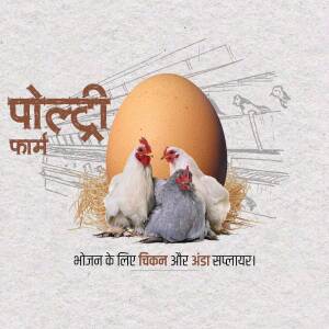 Poultry Farm - Fresh Eggs And Chicken Banner For WhatsApp